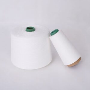 100% Polyester Sewing thread Ne 10/2 10/3 10/4 12/3 12/4
